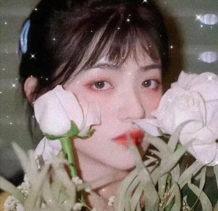强档巨骗封面